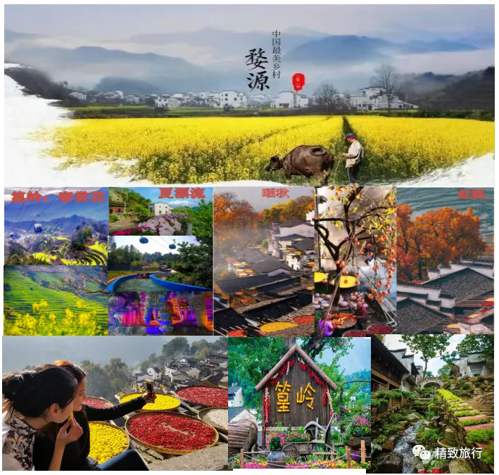 黄山+婺源篁岭+宏村4日3晚跟团游·篁岭鲜花小镇·梯云晒秋人家·黄山·奇松怪石+皖南明珠/画里宏村